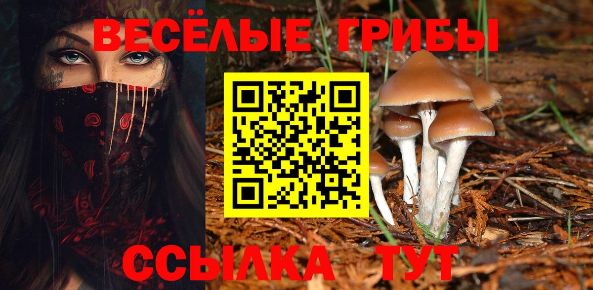 Галлюциногенные грибы прущие грибы  Вход с VPN  Кандалакша 